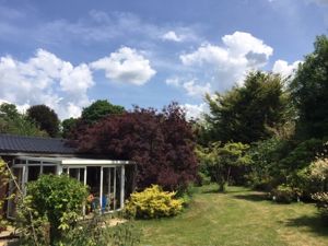 Photo 11- click for photo gallery